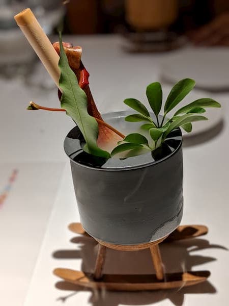 photo of Summer Pitcher